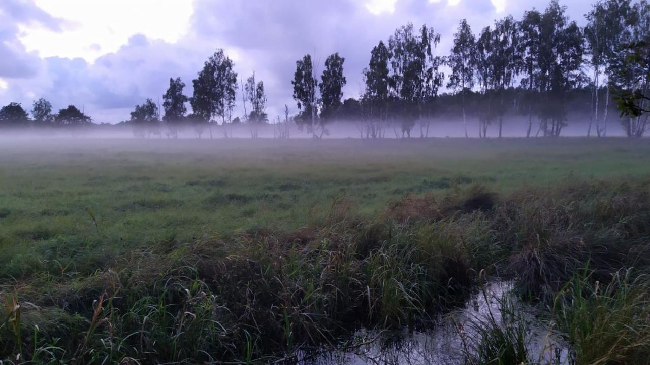 Slowinskie Widoki Domki Flora, Fauna, Noclegi スモウジンスキ・ラス エクステリア 写真
